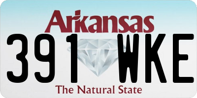 AR license plate 391WKE