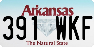 AR license plate 391WKF