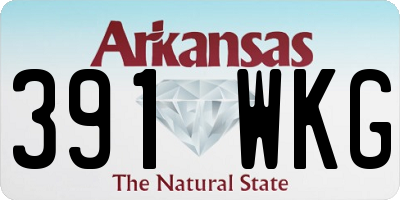 AR license plate 391WKG