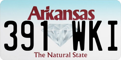 AR license plate 391WKI