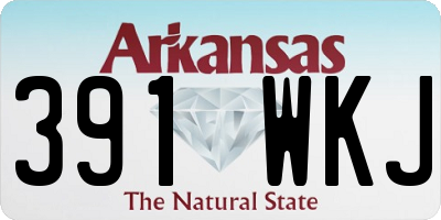 AR license plate 391WKJ