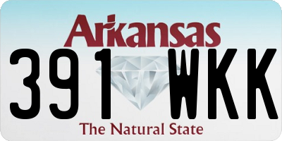 AR license plate 391WKK