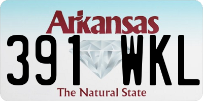 AR license plate 391WKL