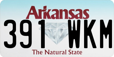 AR license plate 391WKM