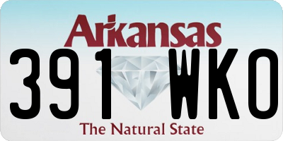 AR license plate 391WKO