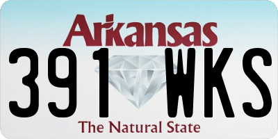 AR license plate 391WKS