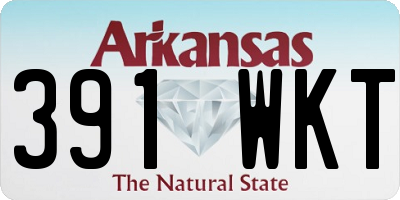 AR license plate 391WKT