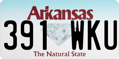 AR license plate 391WKU