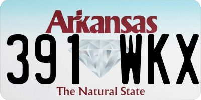AR license plate 391WKX