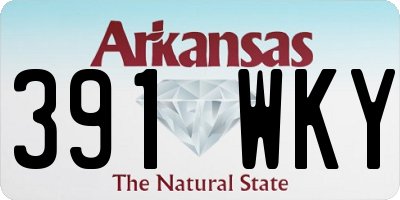 AR license plate 391WKY