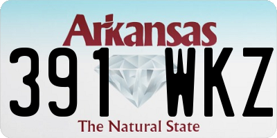 AR license plate 391WKZ