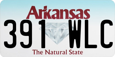 AR license plate 391WLC