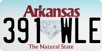 AR license plate 391WLE