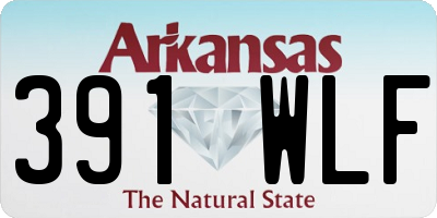 AR license plate 391WLF