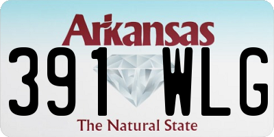 AR license plate 391WLG
