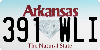 AR license plate 391WLI