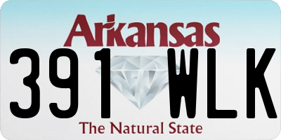 AR license plate 391WLK