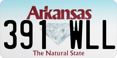 AR license plate 391WLL