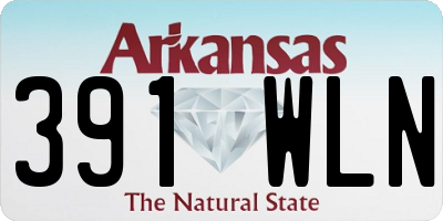 AR license plate 391WLN
