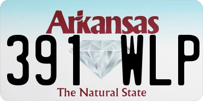 AR license plate 391WLP