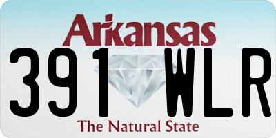 AR license plate 391WLR