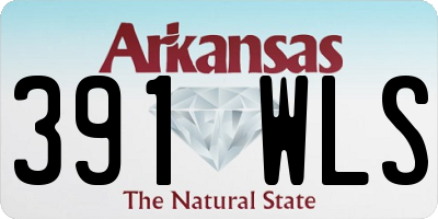 AR license plate 391WLS
