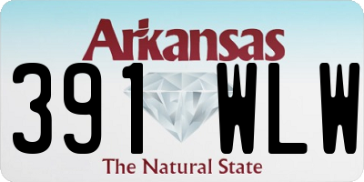 AR license plate 391WLW