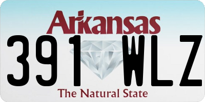 AR license plate 391WLZ