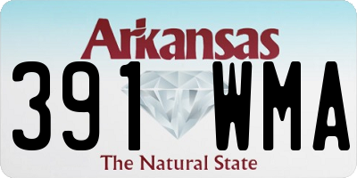 AR license plate 391WMA