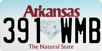 AR license plate 391WMB