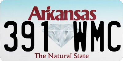 AR license plate 391WMC