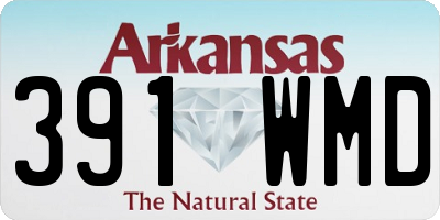 AR license plate 391WMD
