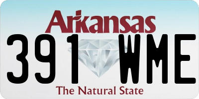 AR license plate 391WME