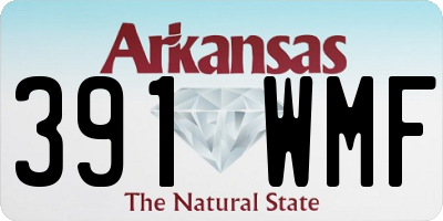 AR license plate 391WMF