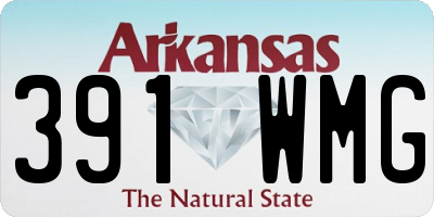 AR license plate 391WMG