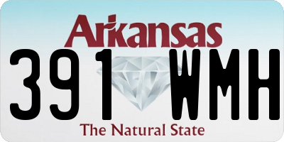 AR license plate 391WMH