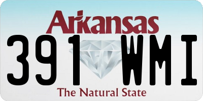 AR license plate 391WMI