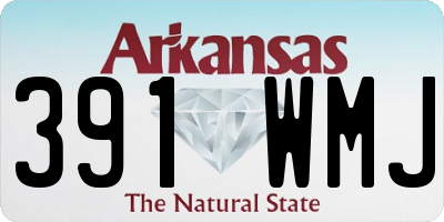 AR license plate 391WMJ