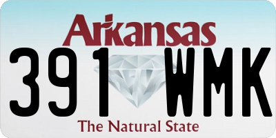 AR license plate 391WMK