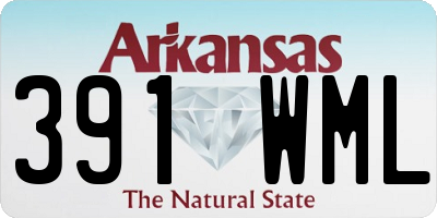 AR license plate 391WML