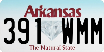 AR license plate 391WMM
