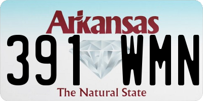 AR license plate 391WMN