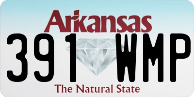 AR license plate 391WMP