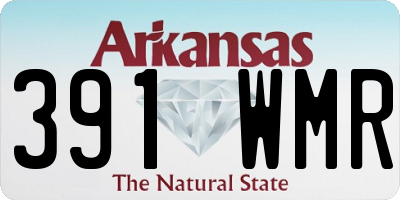 AR license plate 391WMR