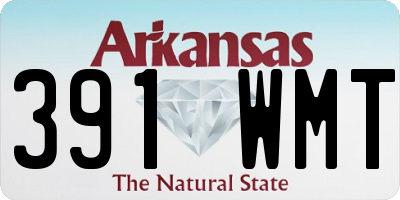 AR license plate 391WMT