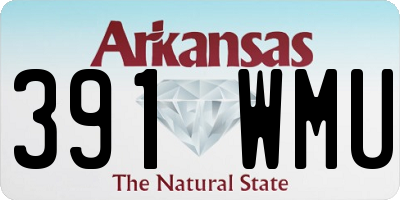 AR license plate 391WMU
