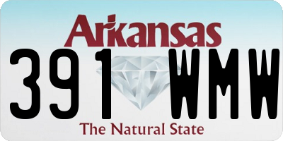 AR license plate 391WMW