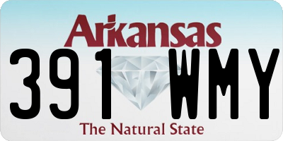 AR license plate 391WMY