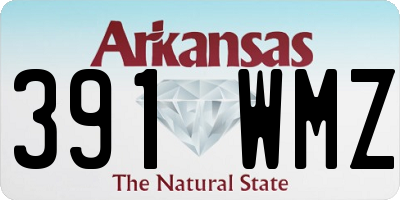 AR license plate 391WMZ