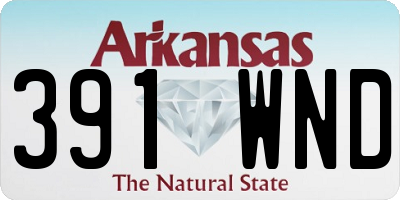 AR license plate 391WND